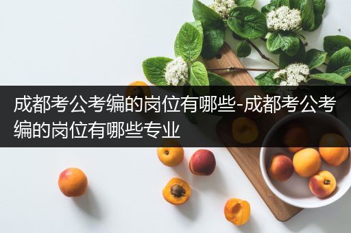 成都考公考编的岗位有哪些-成都考公考编的岗位有哪些专业
