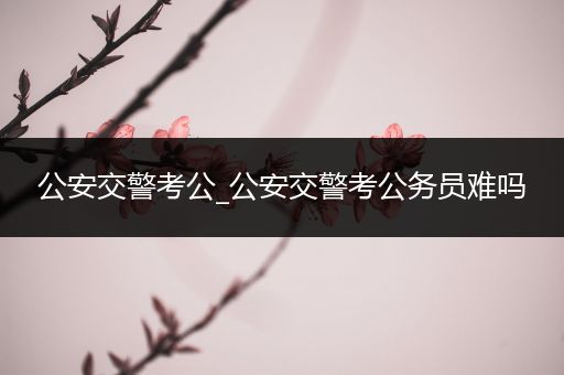 公安交警考公_公安交警考公务员难吗