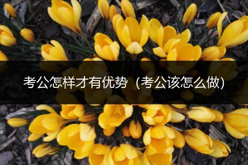 考公怎样才有优势（考公该怎么做）