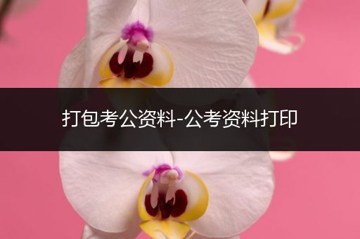 打包考公资料-公考资料打印