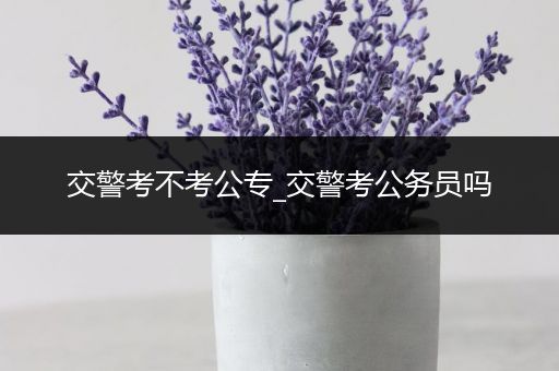 交警考不考公专_交警考公务员吗