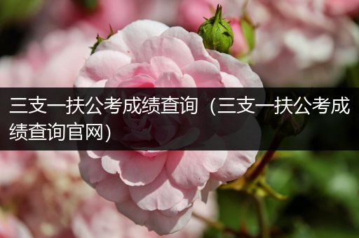 三支一扶公考成绩查询（三支一扶公考成绩查询官网）