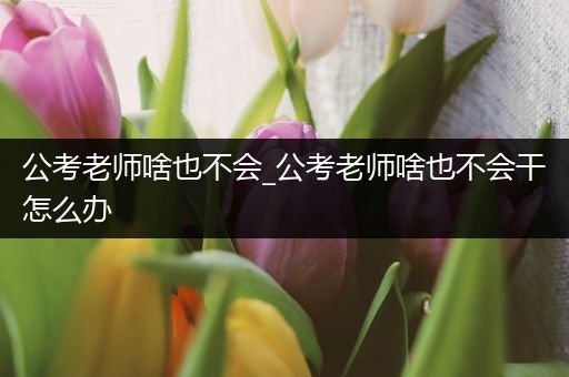 公考老师啥也不会_公考老师啥也不会干怎么办