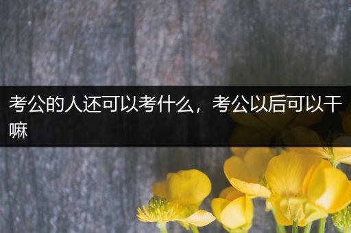 考公的人还可以考什么，考公以后可以干嘛