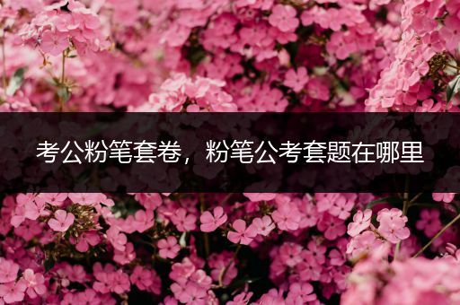 考公粉笔套卷，粉笔公考套题在哪里