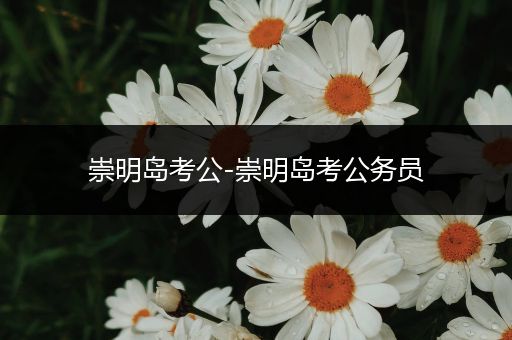 崇明岛考公-崇明岛考公务员