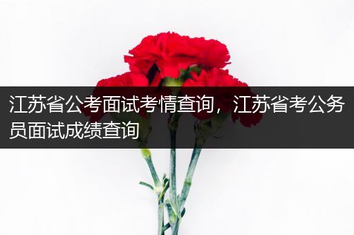 江苏省公考面试考情查询，江苏省考公务员面试成绩查询