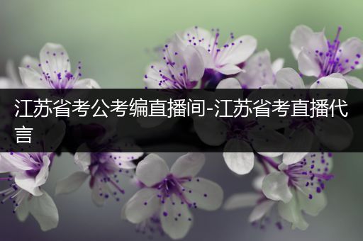 江苏省考公考编直播间-江苏省考直播代言