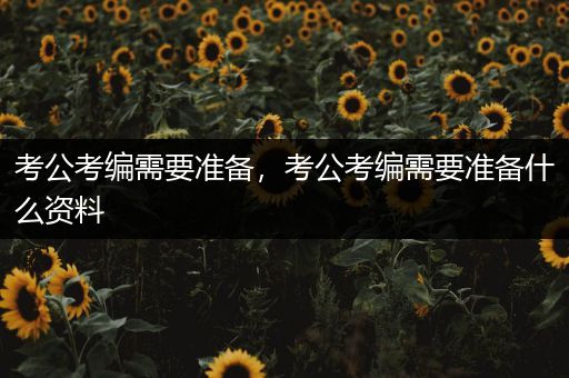 考公考编需要准备，考公考编需要准备什么资料