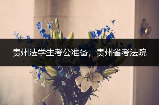 贵州法学生考公准备，贵州省考法院