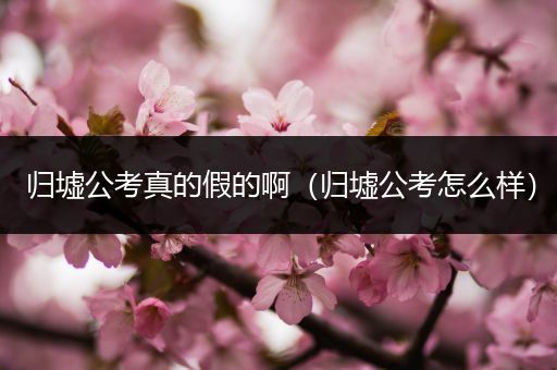 归墟公考真的假的啊（归墟公考怎么样）
