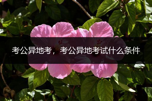 考公异地考，考公异地考试什么条件