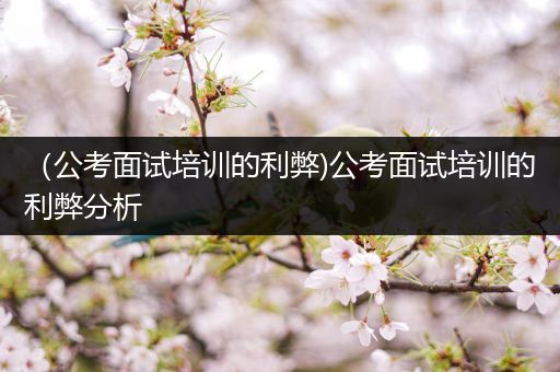 （公考面试培训的利弊)公考面试培训的利弊分析