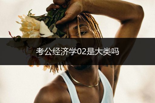 考公经济学02是大类吗