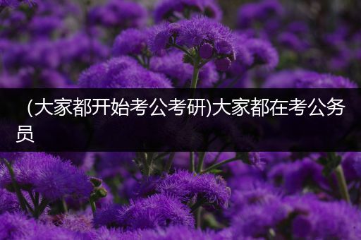 （大家都开始考公考研)大家都在考公务员