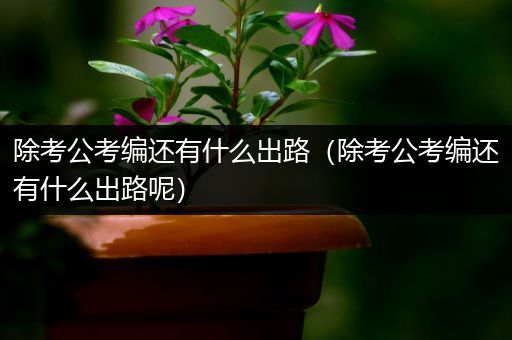 除考公考编还有什么出路（除考公考编还有什么出路呢）