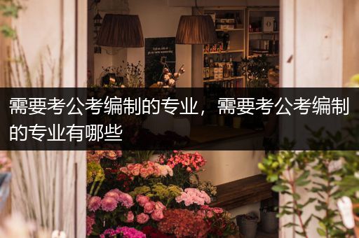 需要考公考编制的专业，需要考公考编制的专业有哪些