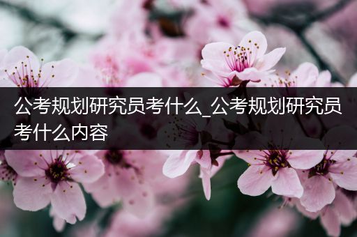 公考规划研究员考什么_公考规划研究员考什么内容