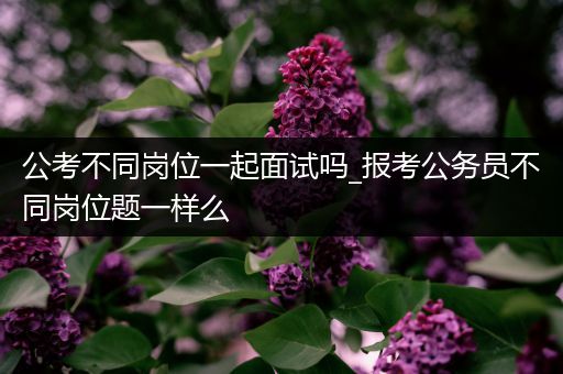 公考不同岗位一起面试吗_报考公务员不同岗位题一样么