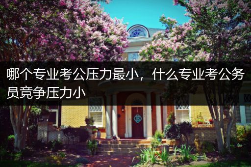 哪个专业考公压力最小，什么专业考公务员竞争压力小