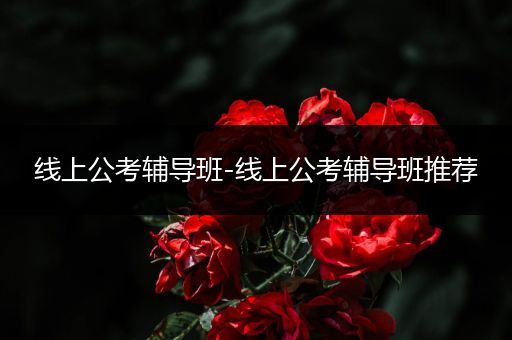 线上公考辅导班-线上公考辅导班推荐