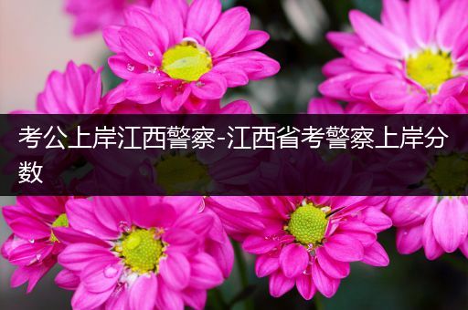 考公上岸江西警察-江西省考警察上岸分数