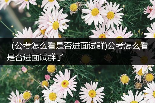 （公考怎么看是否进面试群)公考怎么看是否进面试群了