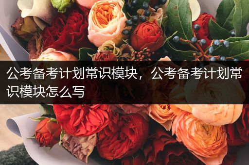 公考备考计划常识模块，公考备考计划常识模块怎么写