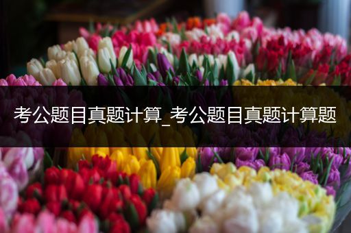考公题目真题计算_考公题目真题计算题