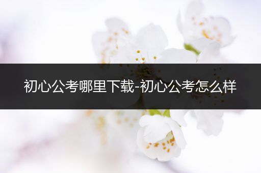 初心公考哪里下载-初心公考怎么样
