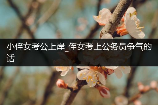 小侄女考公上岸_侄女考上公务员争气的话