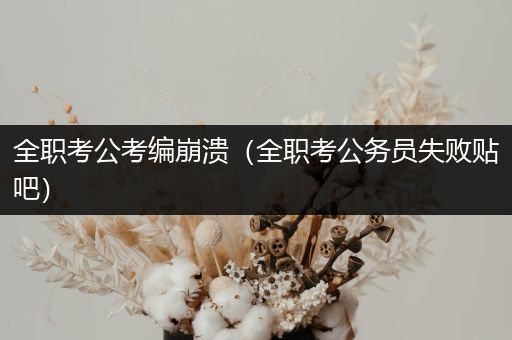 全职考公考编崩溃（全职考公务员失败贴吧）