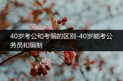 40岁考公和考编的区别-40岁能考公务员和编制