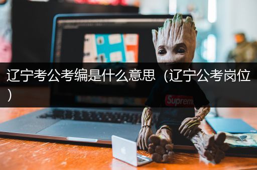辽宁考公考编是什么意思（辽宁公考岗位）