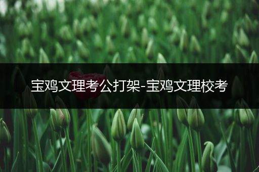 宝鸡文理考公打架-宝鸡文理校考
