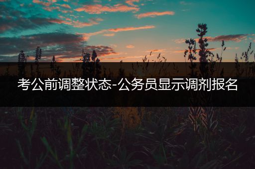 考公前调整状态-公务员显示调剂报名