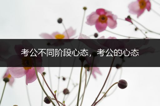 考公不同阶段心态，考公的心态