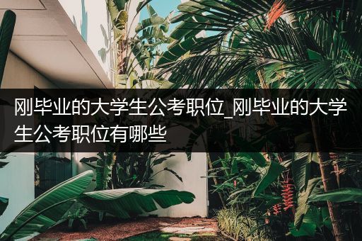 刚毕业的大学生公考职位_刚毕业的大学生公考职位有哪些