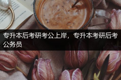 专升本后考研考公上岸，专升本考研后考公务员
