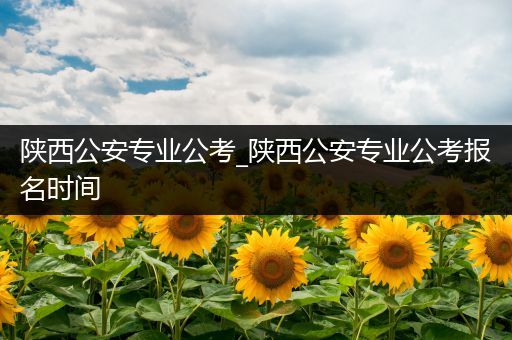 陕西公安专业公考_陕西公安专业公考报名时间