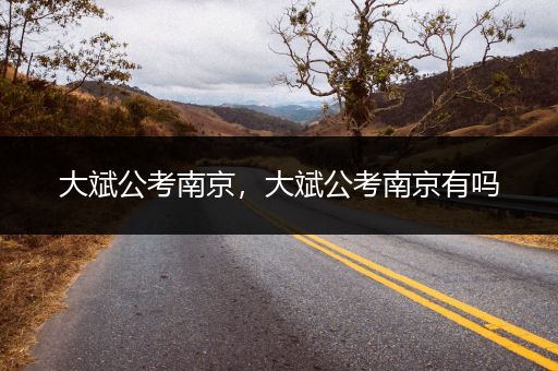 大斌公考南京，大斌公考南京有吗
