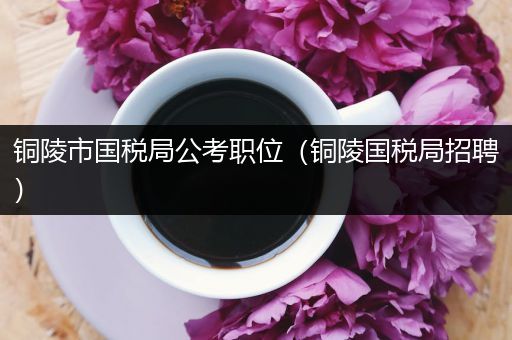 铜陵市国税局公考职位（铜陵国税局招聘）