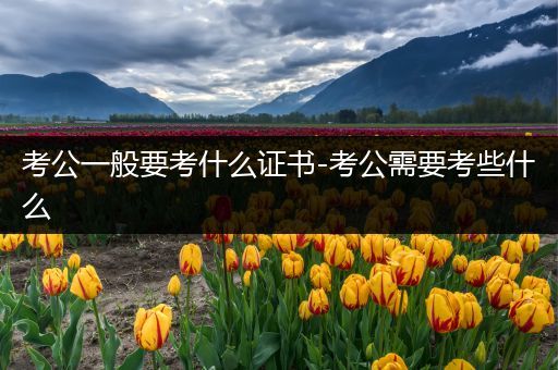 考公一般要考什么证书-考公需要考些什么