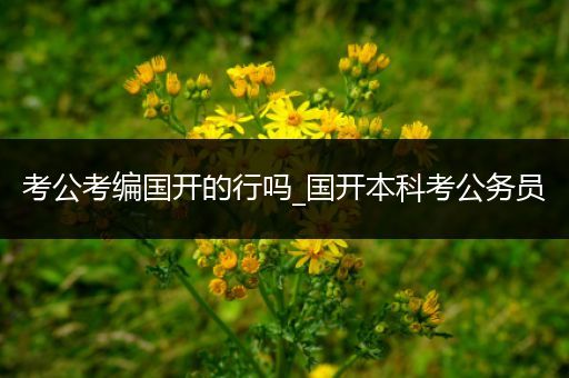 考公考编国开的行吗_国开本科考公务员