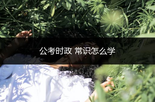 公考时政 常识怎么学