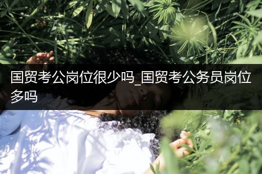 国贸考公岗位很少吗_国贸考公务员岗位多吗