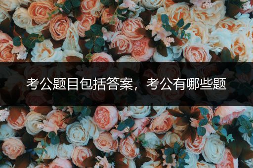 考公题目包括答案，考公有哪些题