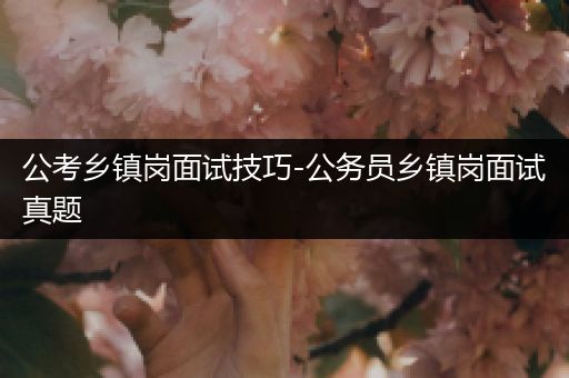 公考乡镇岗面试技巧-公务员乡镇岗面试真题