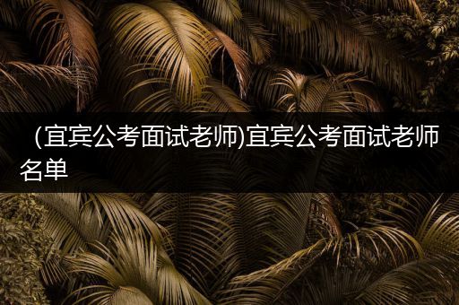 （宜宾公考面试老师)宜宾公考面试老师名单
