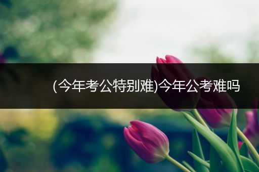 （今年考公特别难)今年公考难吗